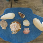 shell table decorations