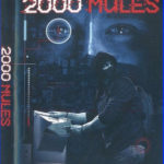 2000 Mules cover